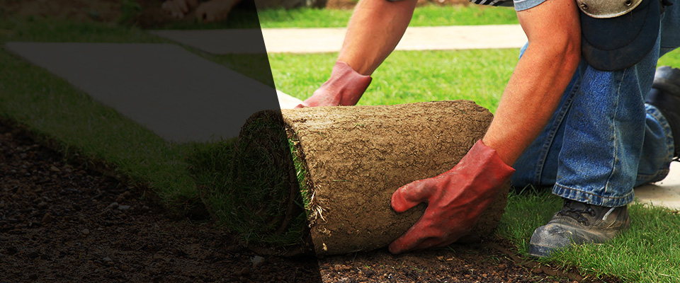 Waxahachie Landscapers